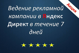 Ведение рекламной кампании в Яндекс Директ в течение 7 дней