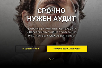 Срочно нужен Аудит рекламной кампании Яндекс. Директ
