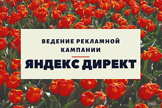 Яндекс Директ - ведение рекламной кампании