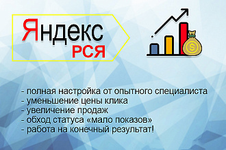 Рекламная кампания в РСЯ - 20 объявлений