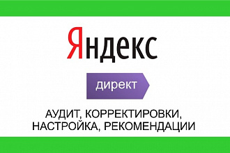 Проведу аудит кампаний в Директе
