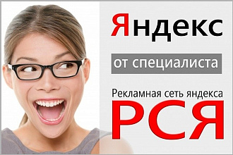 Оптимизация рекламы в Яндекс Директ. Снижу Вам траты бюджета до 60%