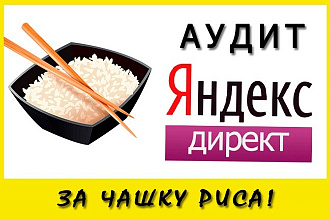 Аудит рекламной кампании в Яндекс Директ за чашку риса