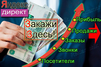 Настройка рекламы, кампании в Яндекс Директ за 1 день. Примеры рекламы