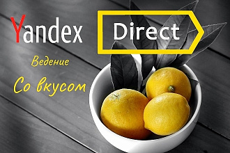 Ведение Яндекс Директ. Целимся на Заявки