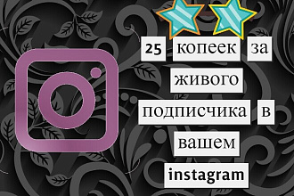 25 копеек за живого подписчика в instagram