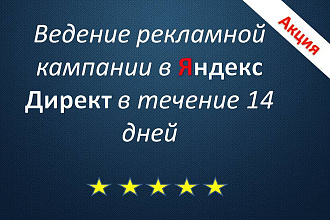 Ведение рекламной кампании в течение 14 дней