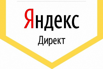 Взрывная настройка Яндекс Директ за 1 день
