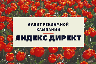 Яндекс Директ - аудит рекламной кампании